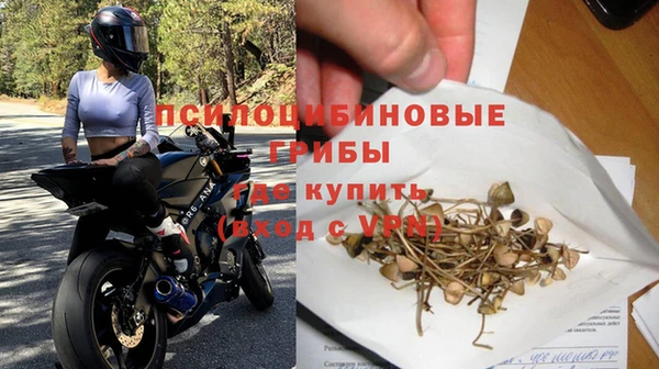 apvp Алексеевка