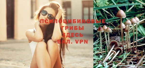 амфетамин Алексин